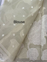 Semi organza saree with appliqué work - MSH906 PastelGreen