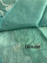 Crush Organza Applique work saree MS14987