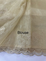 Tissue Organza saree with embroidery - MSH5509 PaleYellow