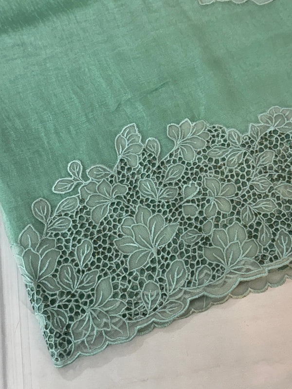 Cutwork Tissue Organza saree MS14154