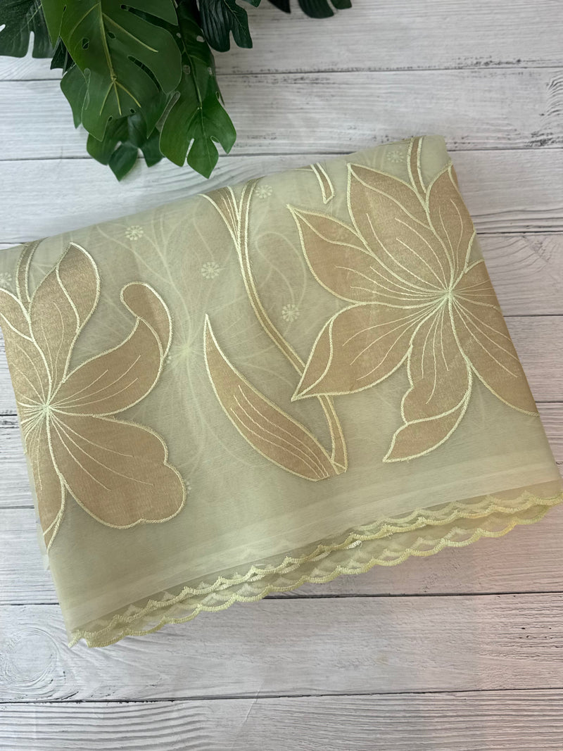 Organza saree with tissue applique work MS5081- PastelDuskyGreen