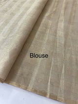 Tissue Silk applique work saree MSH133 Design 2- CloudGrey