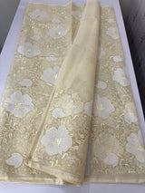 Semi organza saree with applqiue work - MSH256