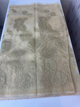 Organza saree with tissue applique work MS5081 - Beige