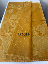 Semi organza saree with appliqué work - MSH906