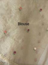 Organza saree with embroidery borders- MS7891