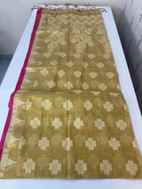 Dual tone Tissue silk saree MTS644 (3)