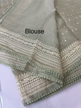 Tissue Organza saree with  thread work - MS14798 PastelGreen