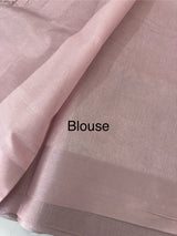 Tissue silk saree with embroidery MSH240