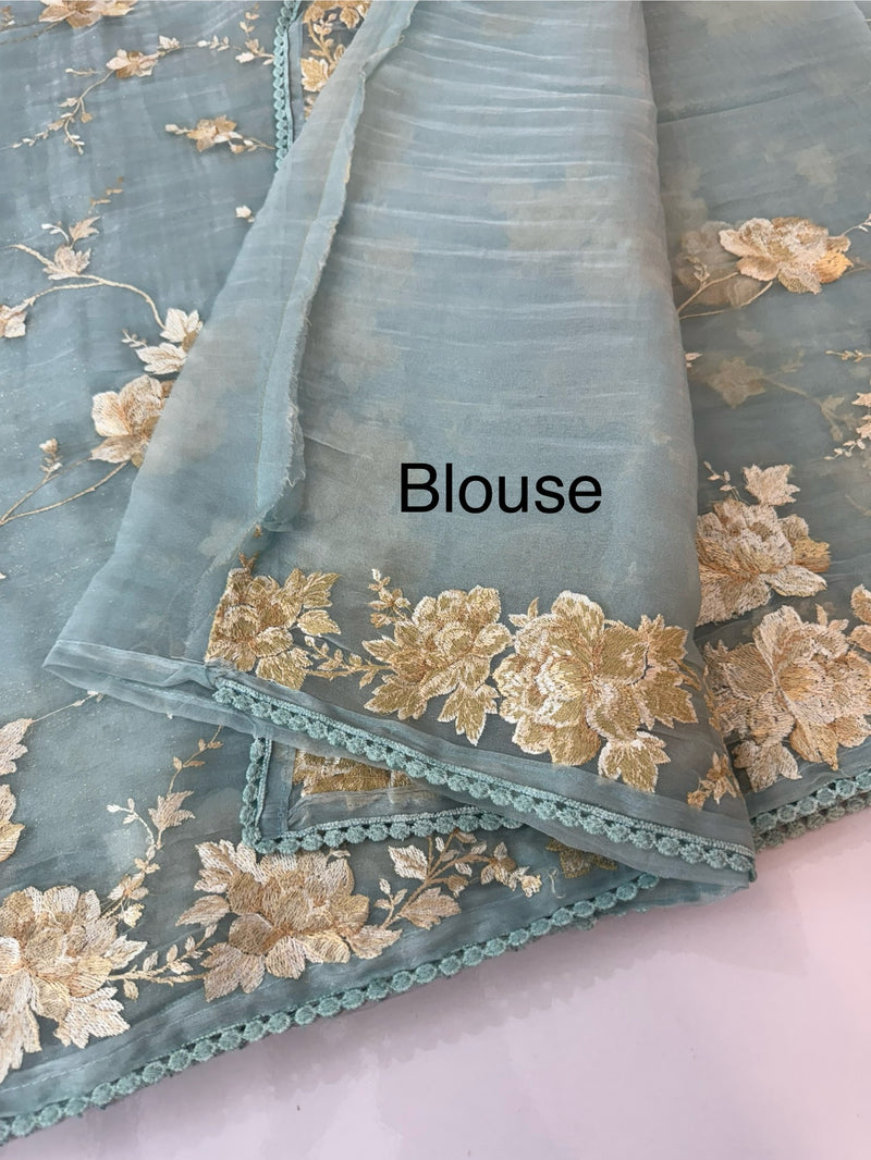 Tissue Organza saree with thread work  MS14931 PastelBlue
