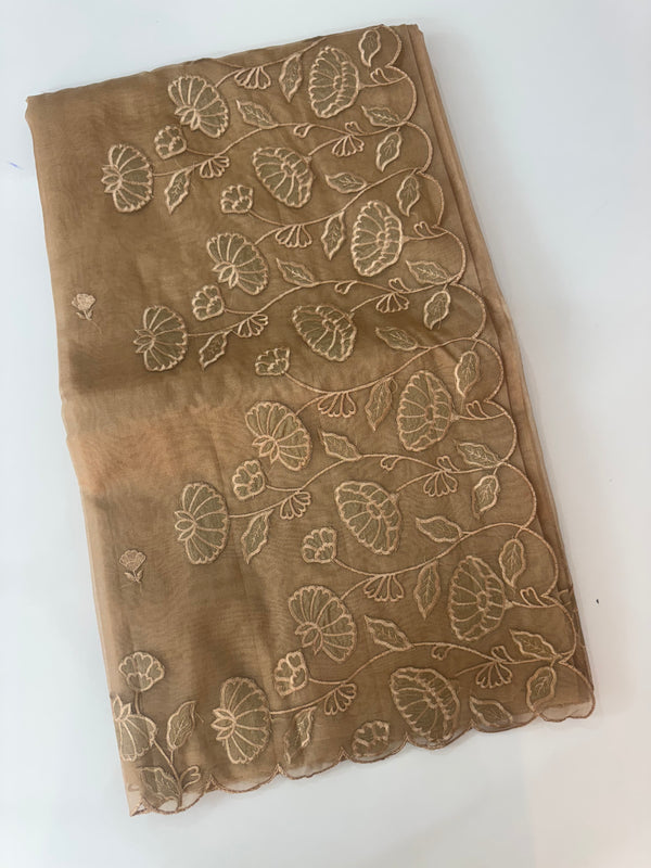 Viscose Organza saree with applique work-MSH103 DarkBeige