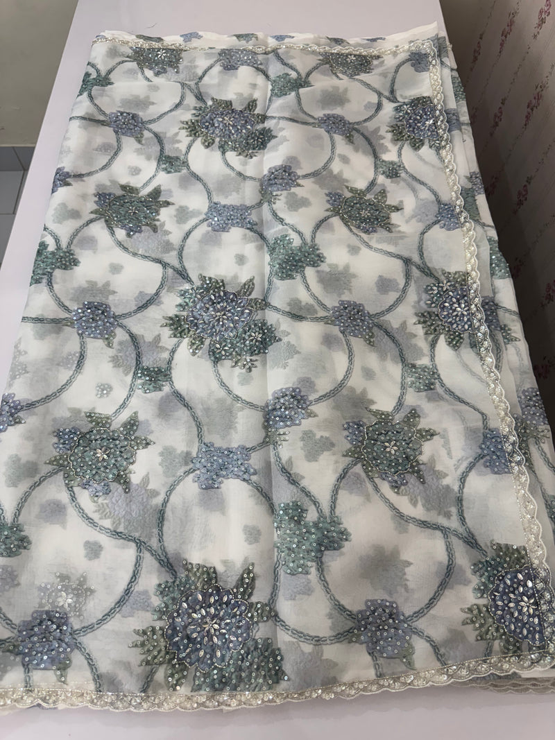 Handworked chiffon Organza saree MCS4534