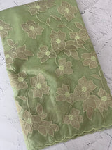 Semi organza saree with tissue applqiue work - MSH931