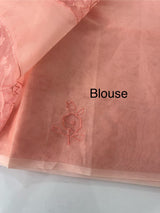 Viscose Organza saree with applique work-MSH101 Peach