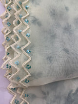Handworked Glass organza saree with digital prints- MOS987