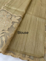 Blended tussar saree with organza applique applique borders MTSS452 Chiku