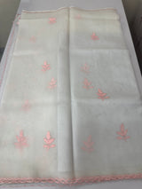 Viscose Organza saree with applique work-MSH194