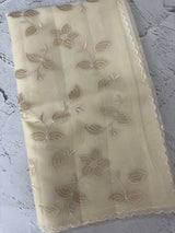 Viscose Organza saree with applique work-MSH238 Ivory
