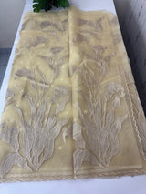 Organza saree with tissue applique work MS5081- Beige