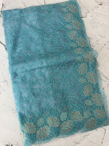 Semi Soft Organza saree with thread work and applique borders - MCW666 LightBlue