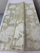 Semi organza saree with appliqué work - MSH906 PastelGreen