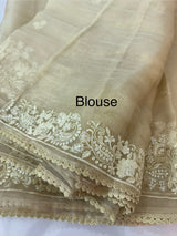 Tissue Organza saree with embroidery work MS14791 Beige