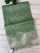 Viscose Organza saree with embriodery-MS14414