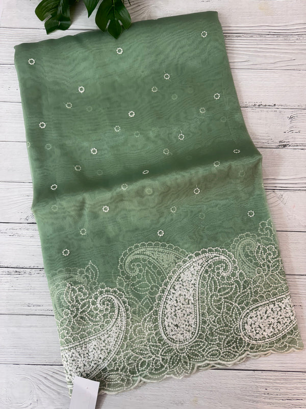 Viscose Organza saree with embriodery-MS14414