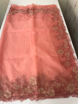 Semi Organza saree with applique borders - MCW799