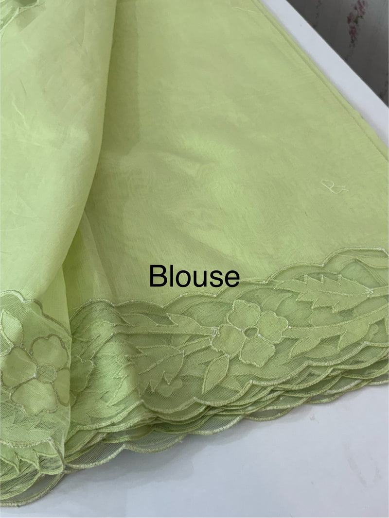 Mul chanderi saree with applique borders MSH111- PastelGreen