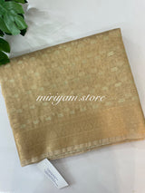 Tissue semi silk saree MSTS167