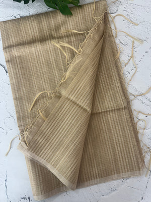 Tissue silk saree - Onam221