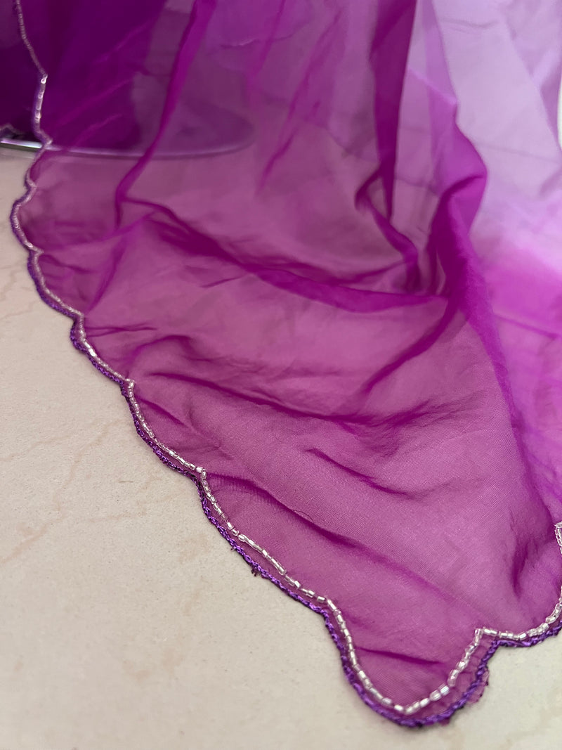 Handworked Ombre Organza saree -MOS754