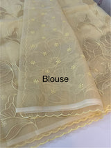 Organza saree with tissue applique work MS5081 - Ivory
