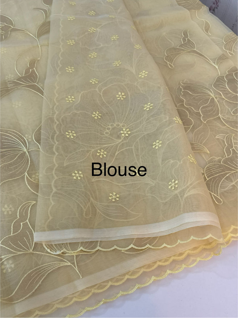 Organza saree with tissue applique work MS5081 - Ivory