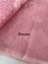 Semi organza saree with applqiue work - MSH256
