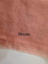 Semi Organza saree with applique borders - MCW799 Peach