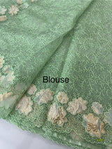 Soft Organza saree with thread work and tissue applique borders