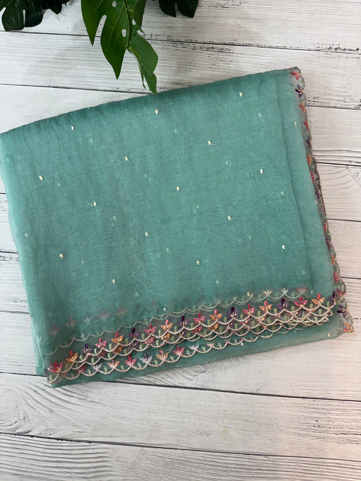 Tissue organza saree with fully worked blouse MS14176
