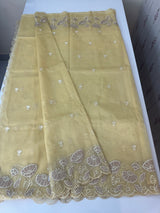 Viscose Organza saree with applique work-MSH103 CreamyYellow