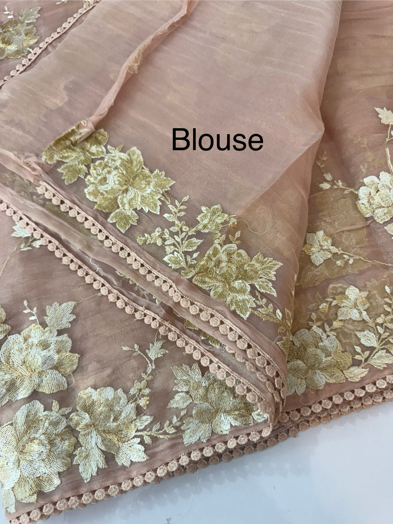 Tissue Organza saree with thread work  MS14931 PastelPeach