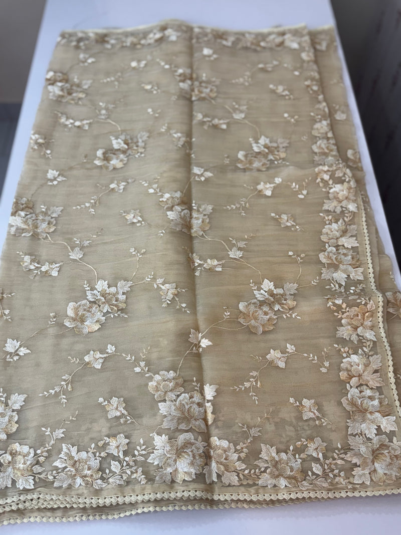 Tissue Organza saree with thread work  MS14931 - Beige