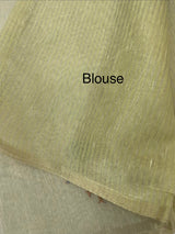 Tissue linen saree with embroidery MSL4900- Green flowers