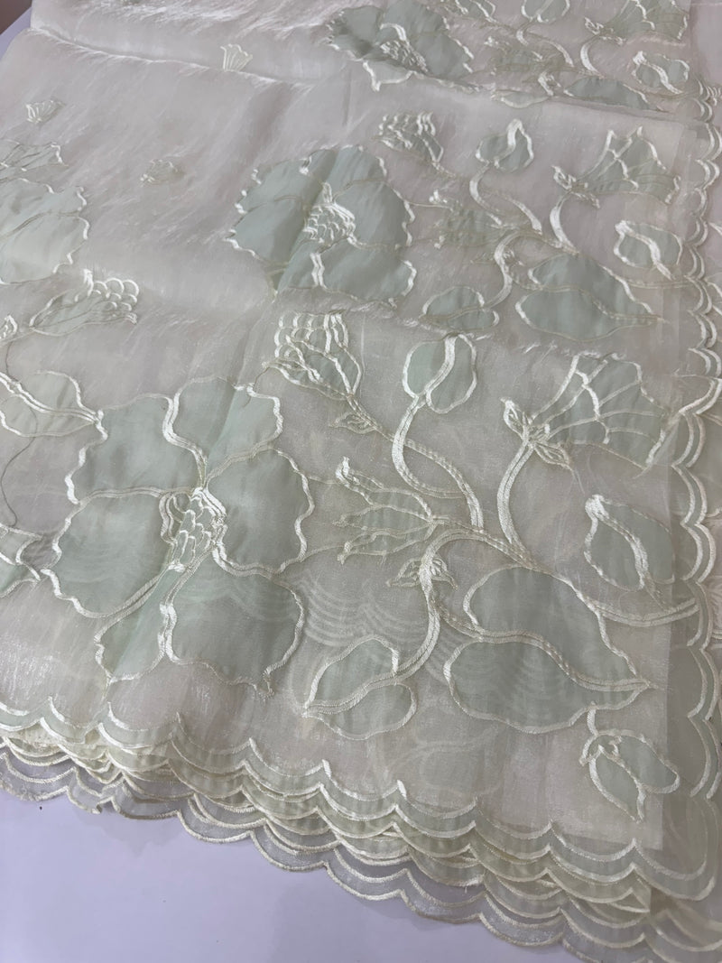 Tissue Organza Applique work saree MS15203- Pastel MintGreen