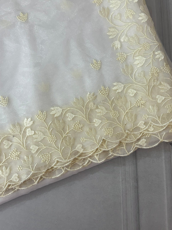 Glassy tissue organza saree with embroidery FKSF88- Offwhite