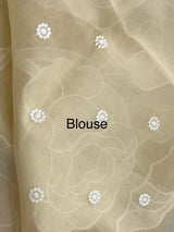 Semi organza saree with appliqué work - MSH906- Beige