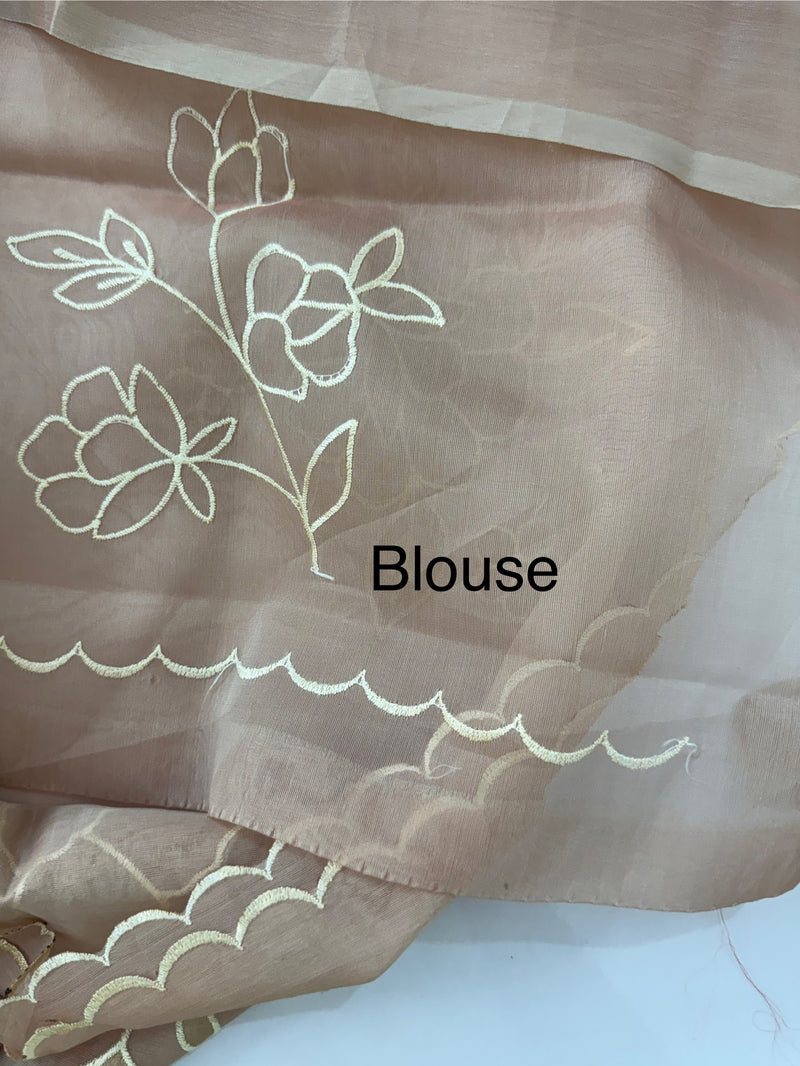 Organza saree with applique work MS5081