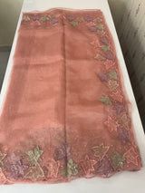 Handworked glass organza saree with applique work- MSHW227- Peach