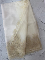 Semi Organza saree with applique borders - MCW799
