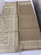 Tissue silk saree with Chikankari embroidery MTTS97(5)
